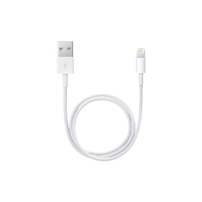 Apple Lightning to USB Cable (1m)